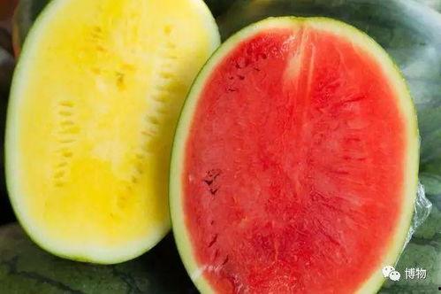 吃瓜cn.,网络热点的幕后故事