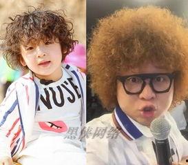 吃瓜狮子头,探寻吃瓜狮子头的独特魅力与烹饪秘诀