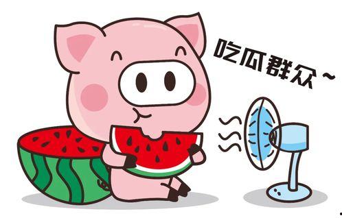 上班可以吃瓜,揭秘职场小确幸