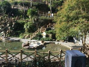 原神温泉节牧南吃瓜,吃瓜群众围观原神狂欢盛宴