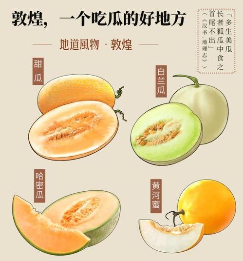 画图吃瓜,趣味横生的视觉盛宴