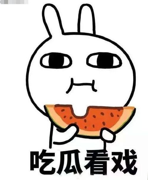 近期吃瓜群,揭秘近期热门事件背后的真相与笑料