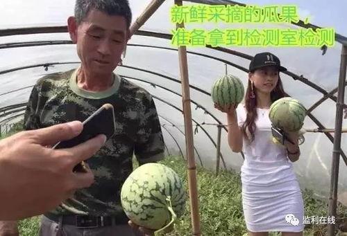 铁衣吃瓜直播,揭秘娱乐圈幕后故事