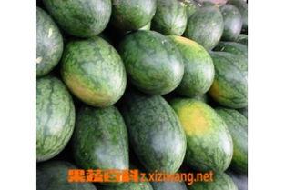 豆瓣吃瓜的美人,揭秘吃瓜美人的魅力与生活