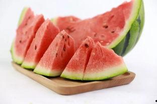 夏季吃瓜语录,吃瓜语录大盘点