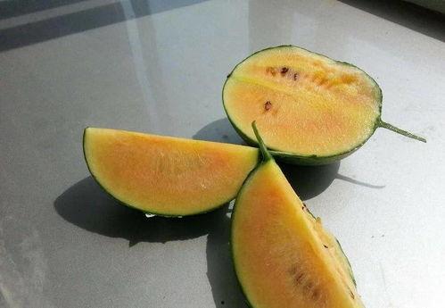 小彩虹吃瓜,揭秘娱乐圈幕后故事