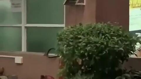 岳西吃瓜新闻,揭秘当地热点事件背后的真相