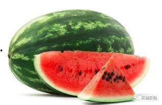 龙瓜怀孕可以吃吗,安全与营养两不误