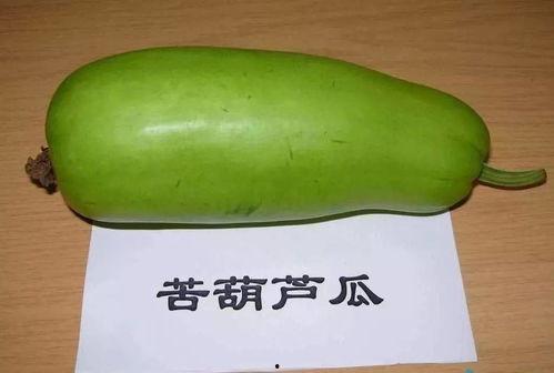 吃绿瓜觉得苦,探寻苦味背后的秘密与启示