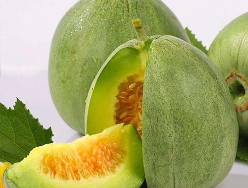 吃绿瓜觉得苦,探寻苦味背后的秘密与启示