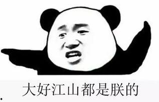 跪求吃瓜群,网络社交新现象背后的故事