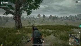 半仙吃瓜大战,揭秘神秘力量背后的恩怨情仇