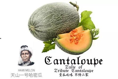 96号吃瓜群众,揭秘网络热议背后的真相