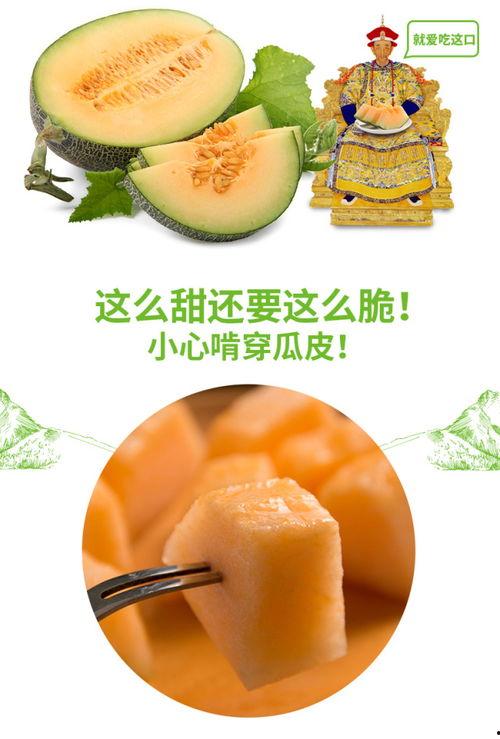 吃蜜瓜原创视频,一场视觉与味蕾的双重享受