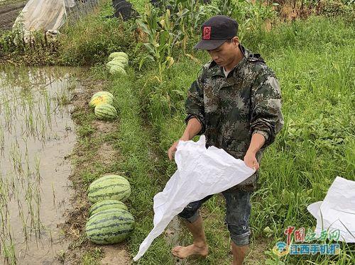 吃瓜军人图,军营里的轻松瞬间