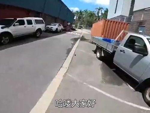 美国警车吃瓜群众