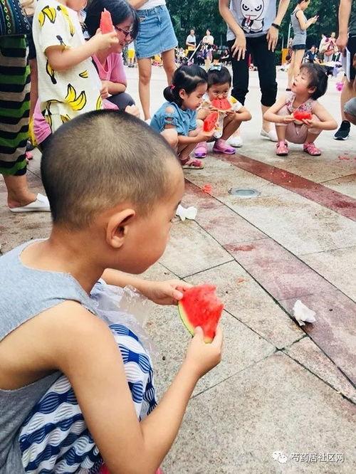 吃瓜现场拍照图片,吃瓜群众拍照记录下的欢乐瞬间