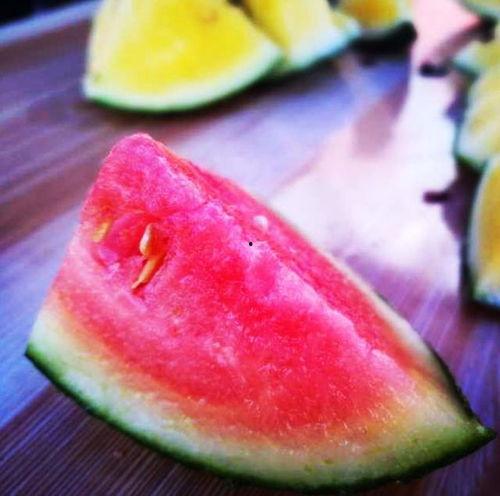 24楼吃瓜,一场吃瓜群众的狂欢盛宴