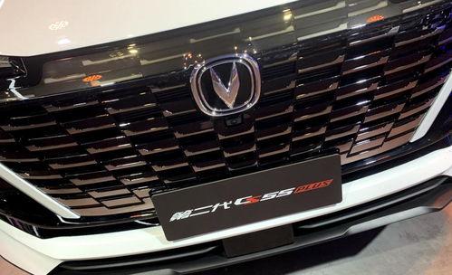 深夜点外卖吃瓜系列,揭秘点外卖的神秘世界