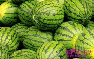 吃瓜网每日分享