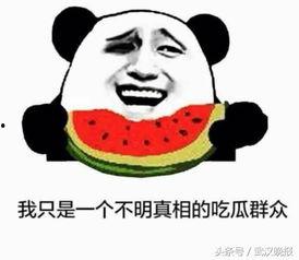 我吃的不是瓜,我吃的并非寻常瓜果之谜