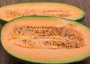 寝室吃哈密瓜,哈密瓜美食之旅