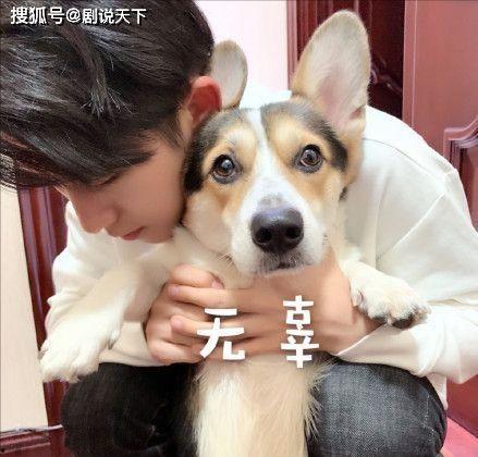 为啥吃瓜闹肚子