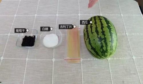 吃瓜必备技能,解锁轻松解读娱乐圈风云的技能宝典