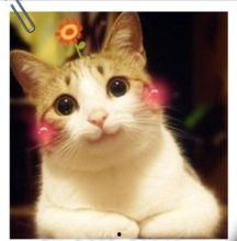 微微喵的吃瓜日常,揭秘娱乐圈那些事儿