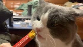 微微喵的吃瓜日常,揭秘娱乐圈那些事儿