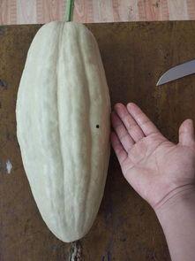 叶吃瓜事件,揭秘网络舆论的狂欢与反思