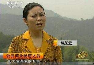 吃瓜台湾军官,揭秘军官内部八卦背后的真相