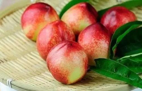 梦见在高处吃瓜吃桃,瓜果飘香，品味云端美味