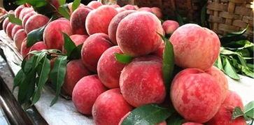 梦见在高处吃瓜吃桃,瓜果飘香，品味云端美味