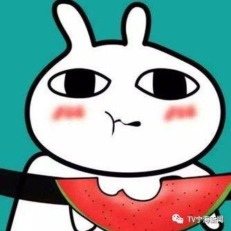 黄豆吃瓜表情包