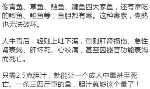 吃瓜留字概括,吃瓜群众视角下的娱乐圈风云录