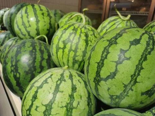 吃瓜流懒器,轻松享受休闲时光的秘密武器