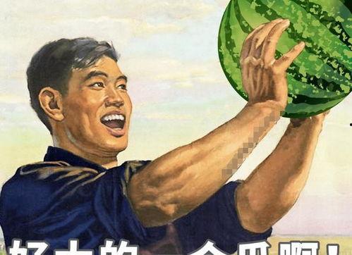 吃瓜请理智,理智围观，共筑和谐网络环境