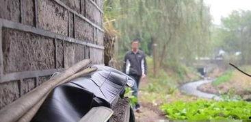 桥洞下吃瓜视频,揭秘街头美食的独特魅力