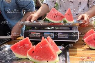 最恶心的吃瓜图,最恶心吃瓜图引发网友热议