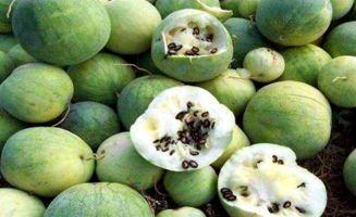 吃瓜后面的导游,带你领略旅游业的酸甜苦辣